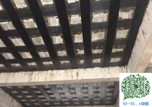 凤翔厂房碳纤维加固